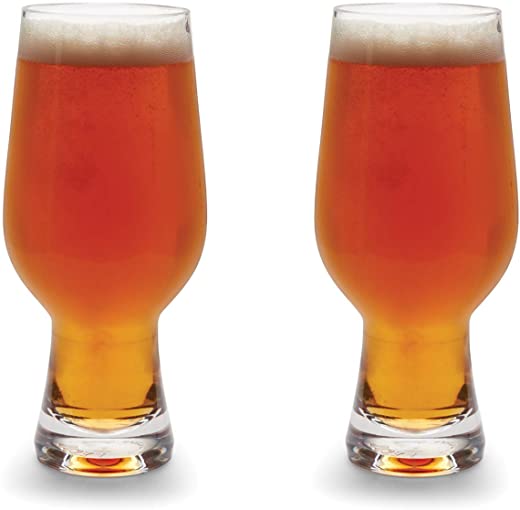 Aegir Tritan Unbreakable IPA Beer Glasses, Set of 2, 18-Ounces, Clear