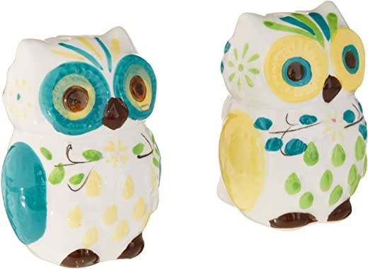 Floral Owl Salt & Pepper Shakers, Hand-painted Ceramic by Boston Warehouse