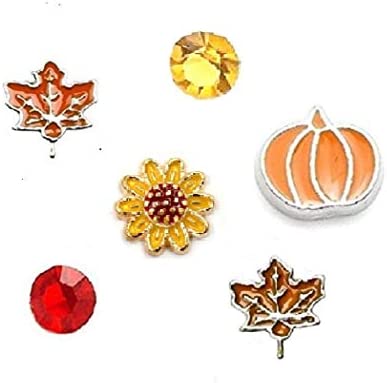 Cherityne Fall/Autumn Themed Set of 6 Floating Charms for Locket Pendants