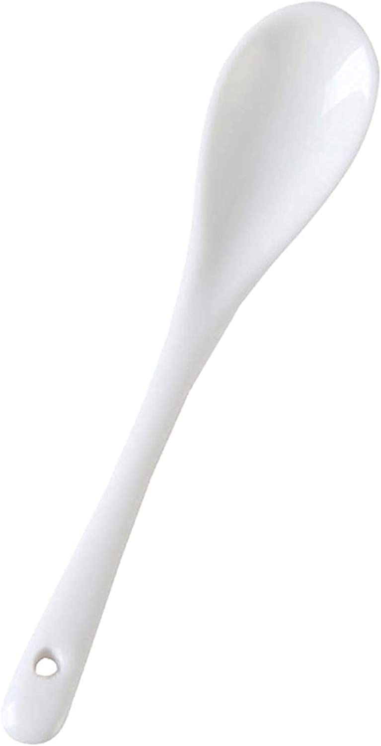 Pho spoon, Soup Ladle Cup Spoon Ceramic Coffee Spoon Stirring Spoon Mini Ceramic Milk Spoon 10-Piece Set White Stainless Steel Soup Ladle