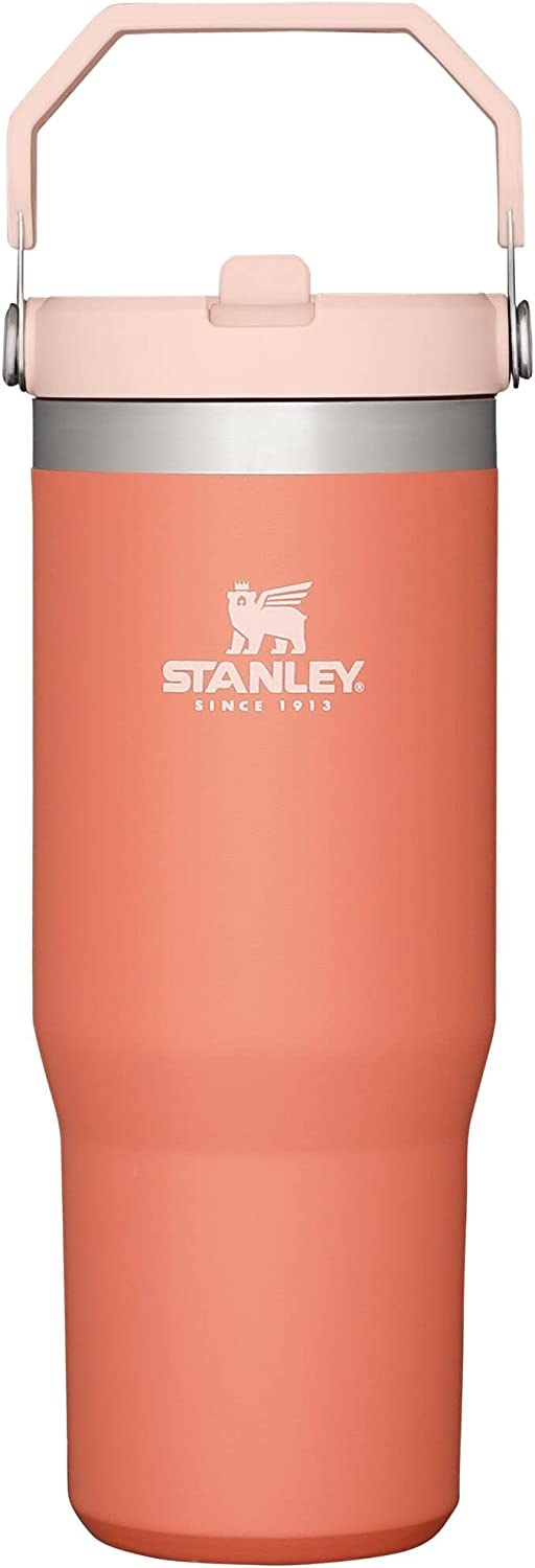 Stanley IceFlow Stainless Steel Tumbler with Straw, Vacuum Insulated Water Bottle for Home, Office or Car, Reusable Cup with