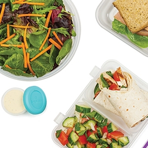 plastic lunch containers