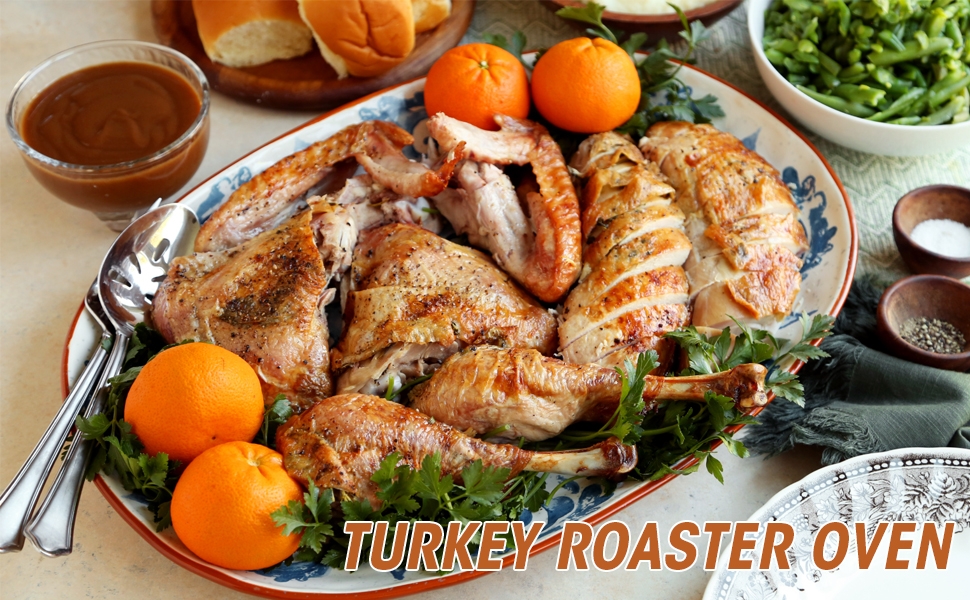 electric turkey roaster