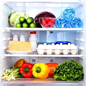 inside of a fully stocked fridge 