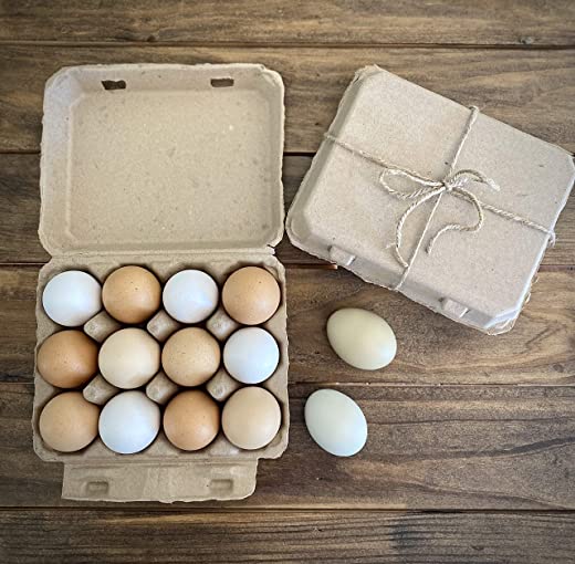 Vintage Blank Egg Cartons- Classic 3×4 Style Holds 12 Large Eggs, Sturdy Design Made from Recycled Cardboard (25)