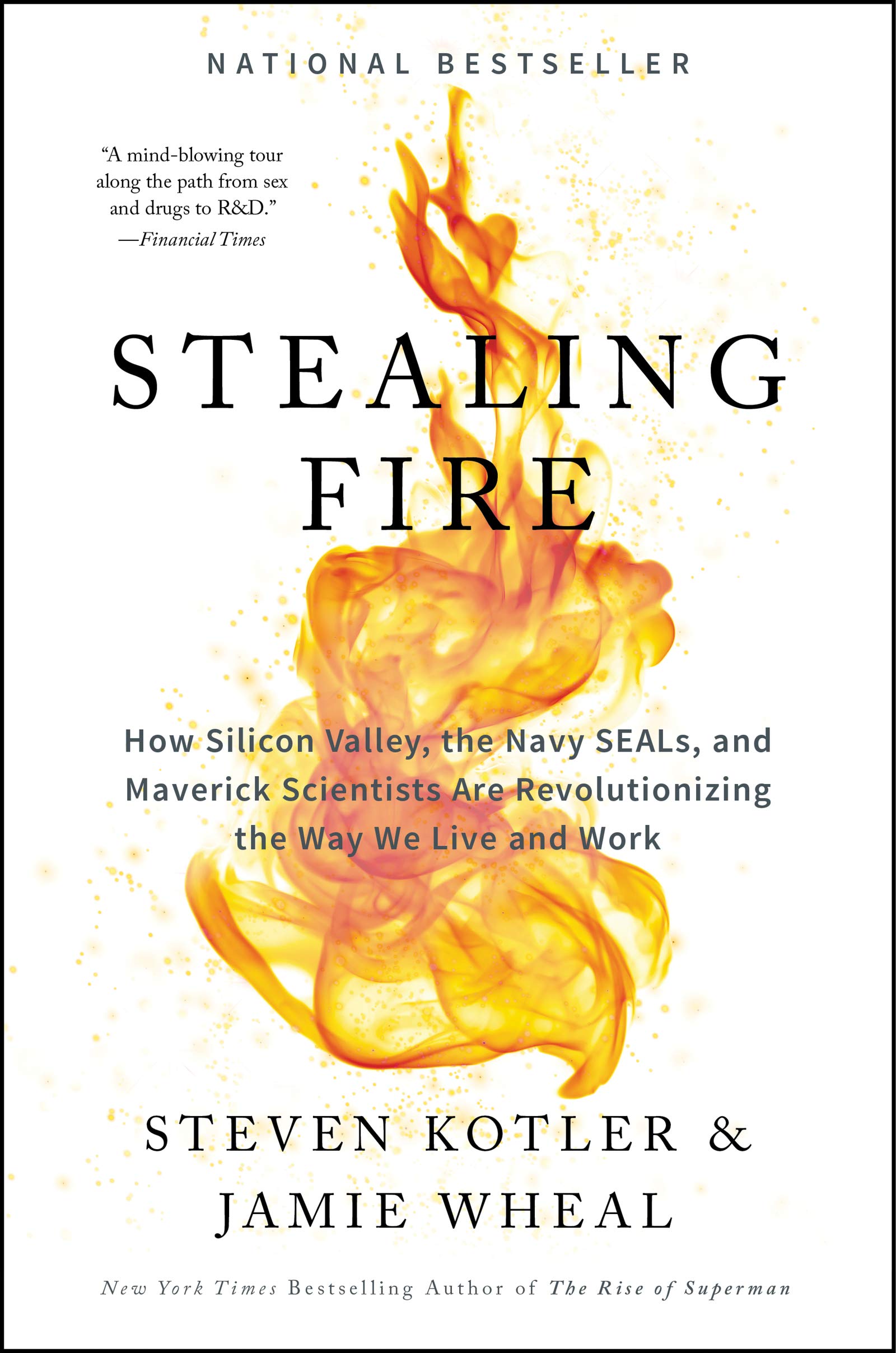 Stealing fire book review