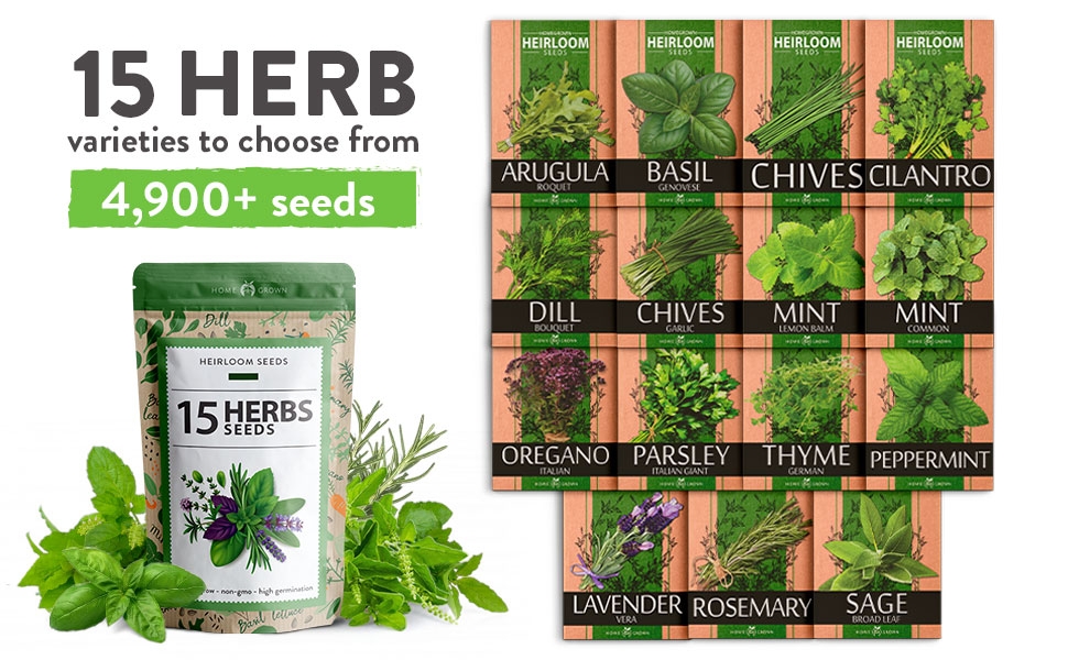 Cooking with herbs, basil seeds, cilantro seeds, mint seeds, rosemary seeds, indoor plant seeds