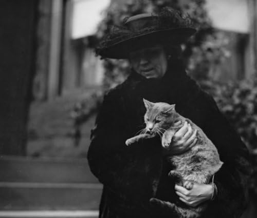 1921 January 11 photo Chas. L. Fraily cat, 1/11/21 Vintage Black & White Phot c3   Import  Single ASIN  Import  Multiple