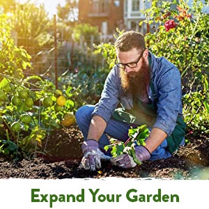 expand-garden, herb seeds variety pack, seeds for planting herbs, herb garden seeds for planting