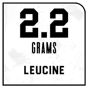2.2 Grams Leucine